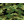Camuflaje Camuflaje